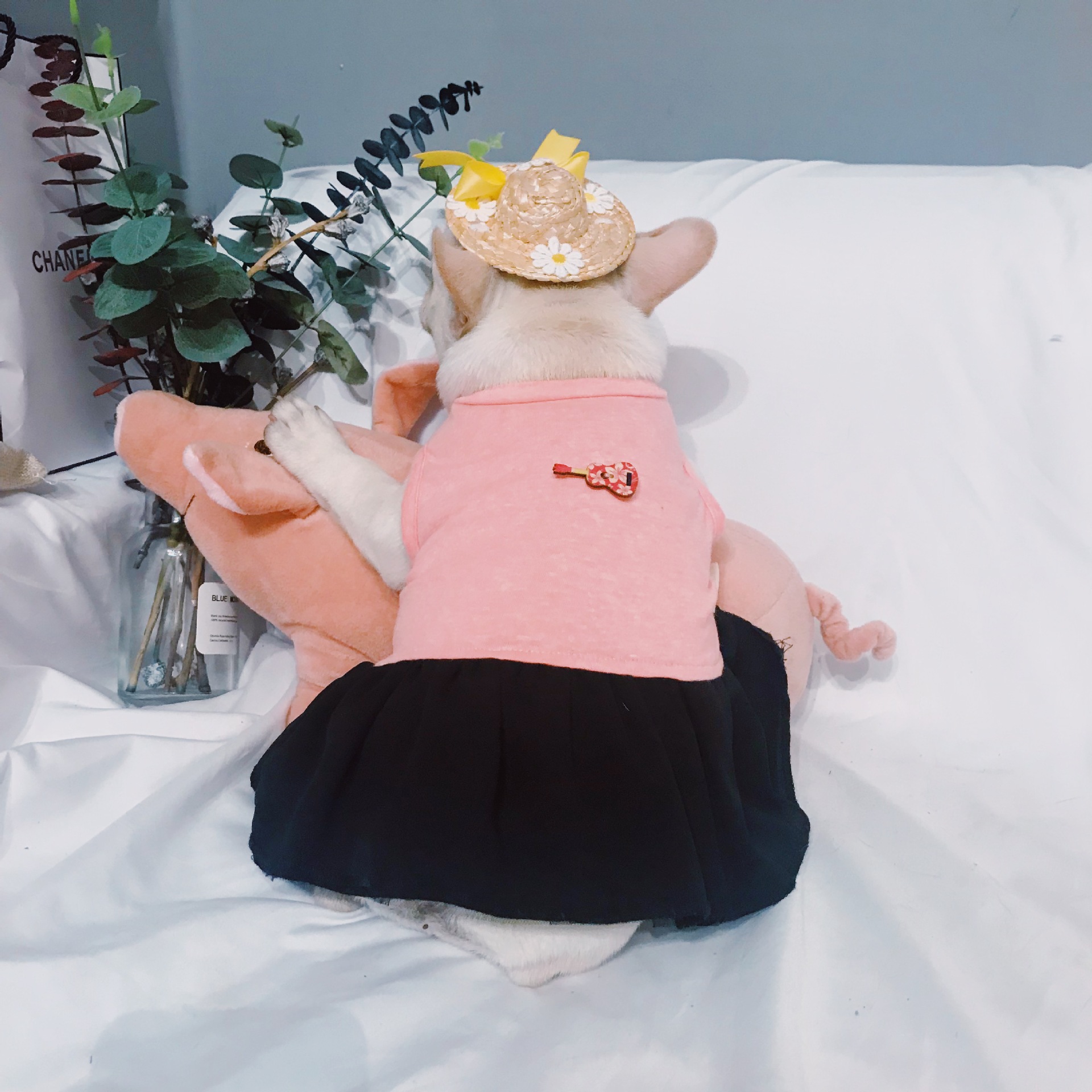 New design lovely cute new pet summer dress skirt 