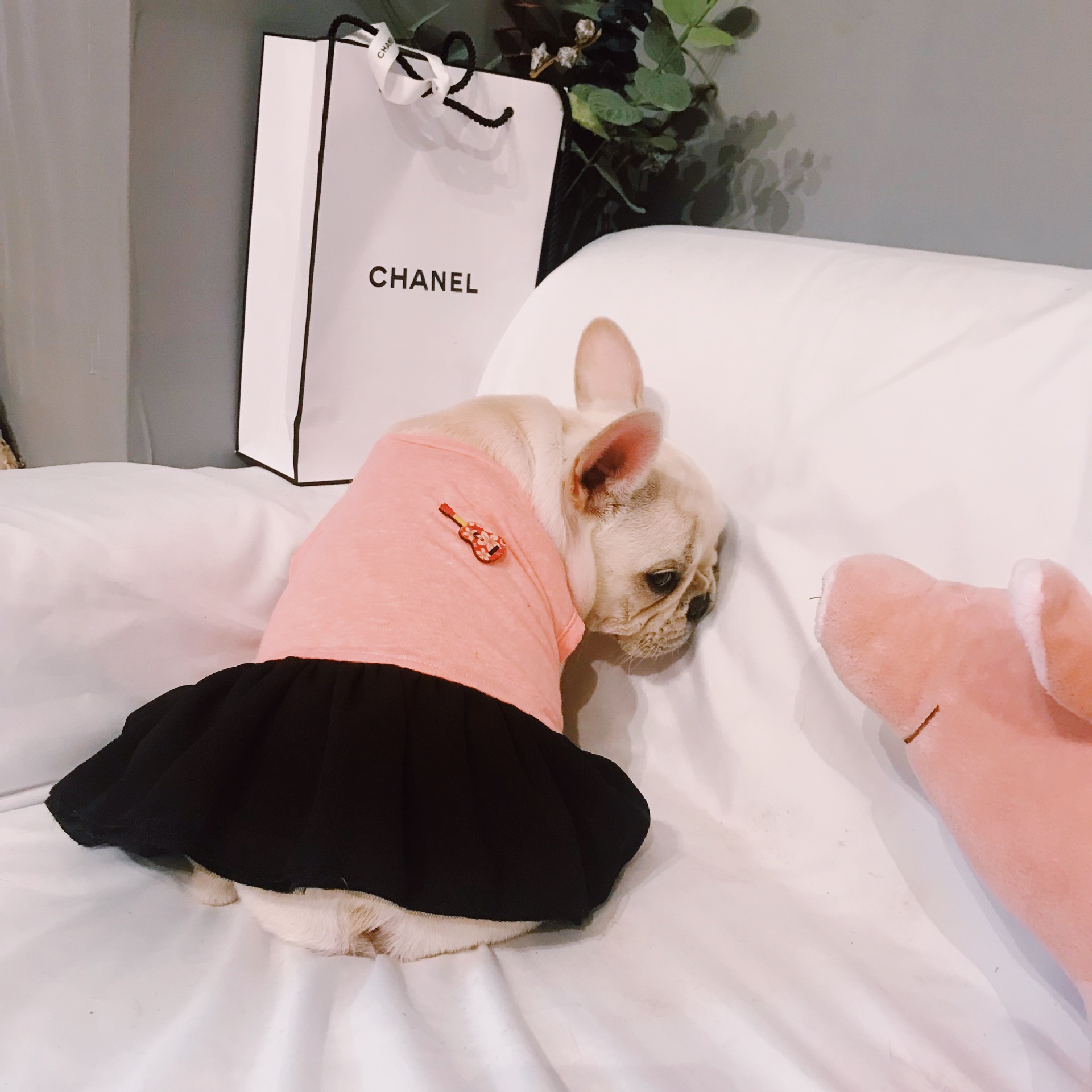 New design lovely cute new pet summer dress skirt 