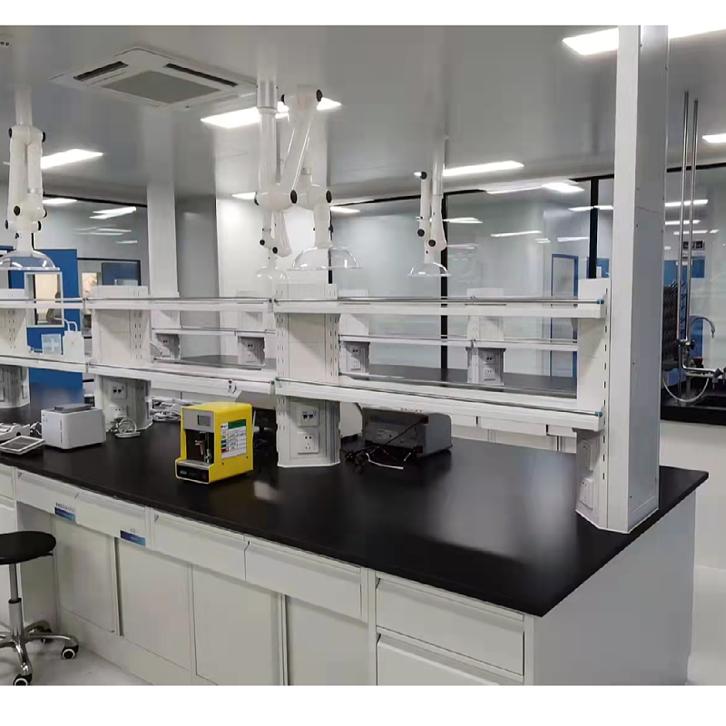 Customized Laboratory Workbench Laboratory Equipment Lab Fume Hood Steel Storage Cabinet Wholesale