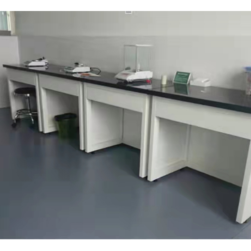 Customized Laboratory Workbench Laboratory Equipment Lab Fume Hood Steel Storage Cabinet Wholesale