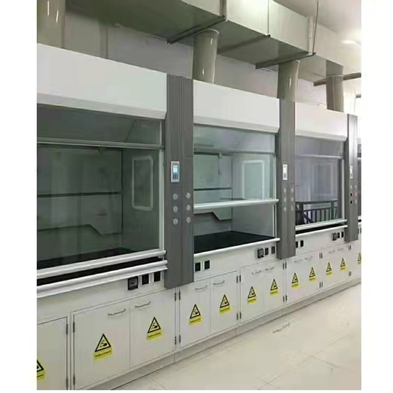 Customized Laboratory Workbench Laboratory Equipment Lab Fume Hood Steel Storage Cabinet Wholesale