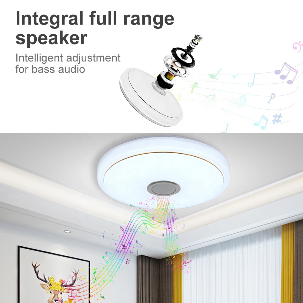 WIFI/BT night lamp smart lighting indoor ceiling l