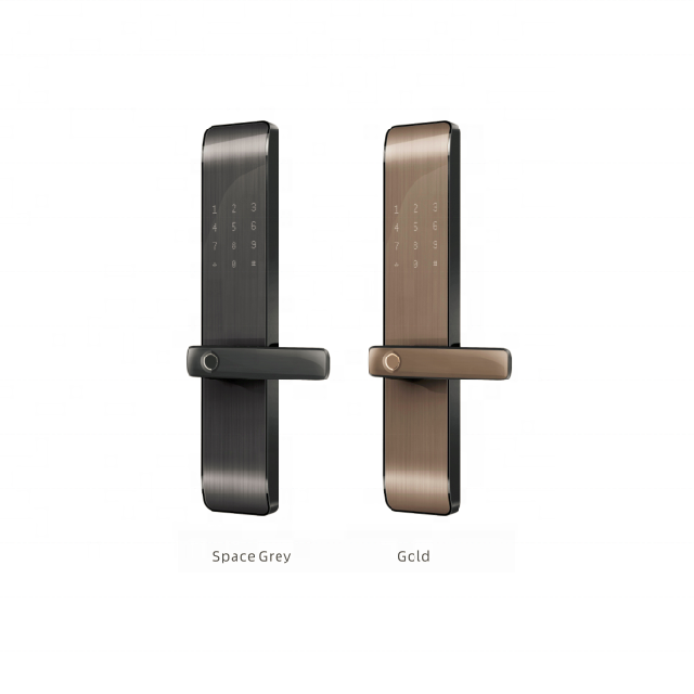 fingerprint recognition remote control aluminum alloy Automatic Lock  with camera for home