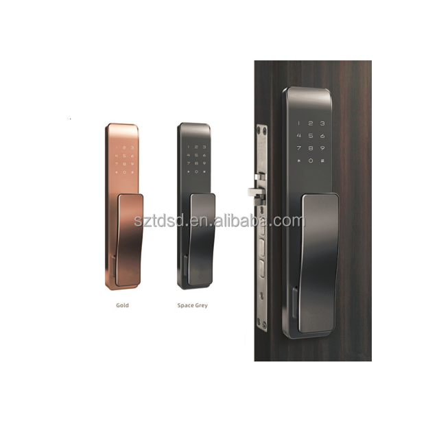 Hot Selling Tuya App Smart Fingerprint Wifi Door Lock For High Security