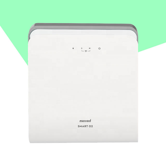 2020 Wall mounted electronic PM2.5 air purifier Fresh Air Fresher system for home