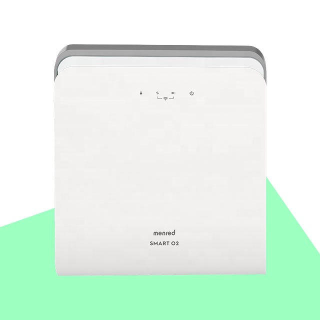 2020 Wall mounted electronic PM2.5 air purifier Fresh Air Fresher system for home