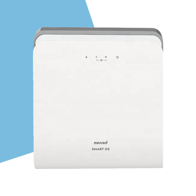 2020 Wall mounted electronic PM2.5 air purifier Fresh Air Fresher system for home