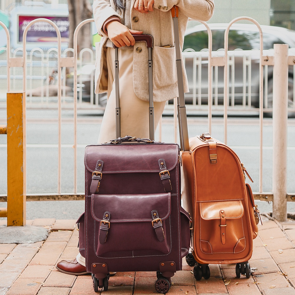 FSM171 Multifunction Trolley Cosmetic Case Rolling Luggage Travelling Bags Luggage Trolley Cases Tra
