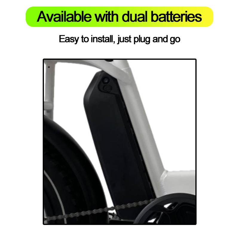 New Design Bafang 500W 750w Mid Drive LCD Color Display Family Cargo Ebike 48v17ah electric Battery 