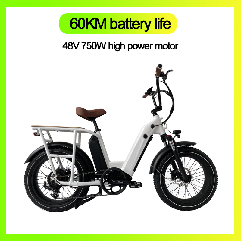 New Design Bafang 500W 750w Mid Drive LCD Color Display Family Cargo Ebike 48v17ah electric Battery 