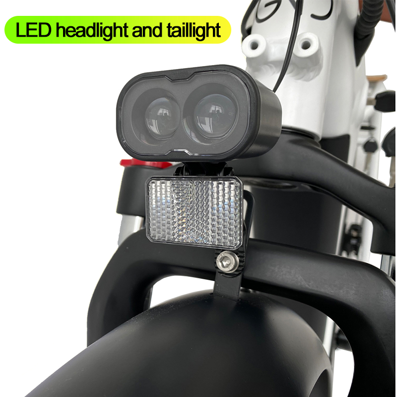 New Design Bafang 500W 750w Mid Drive LCD Color Display Family Cargo Ebike 48v17ah electric Battery 