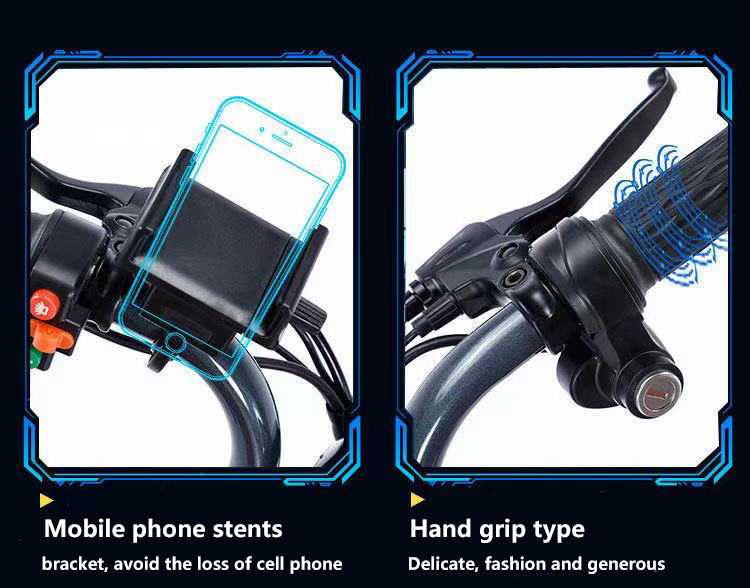 2 Seat Electric Scooter Bicycle 250w 48V lithium battery Adult E City Bike 2 Wheel Mini Two Seat Ele