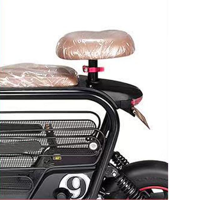 2 Seat Electric Scooter Bicycle 250w 48V lithium battery Adult E City Bike 2 Wheel Mini Two Seat Ele