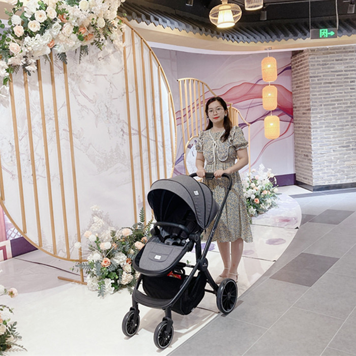 American Travel System Luxury Leather 3 in 1 Baby Stroller