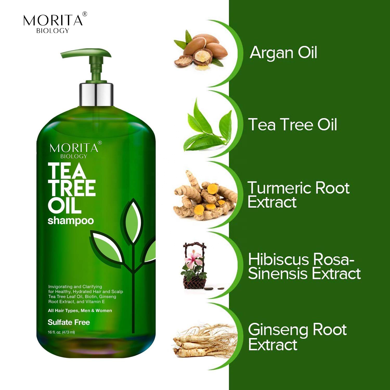 Wholesale natural hair grow shampoo hair loss orga
