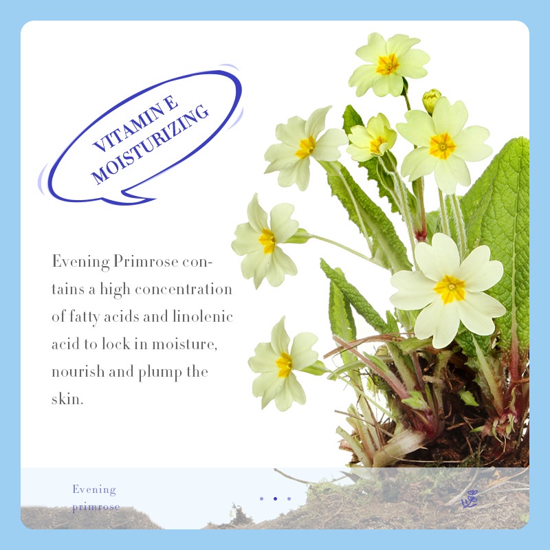 G9 SADOER Evening Primrose Vitamin E Cream 300g Moisturizing Anti-crack Cream Hydrating Cream Autumn