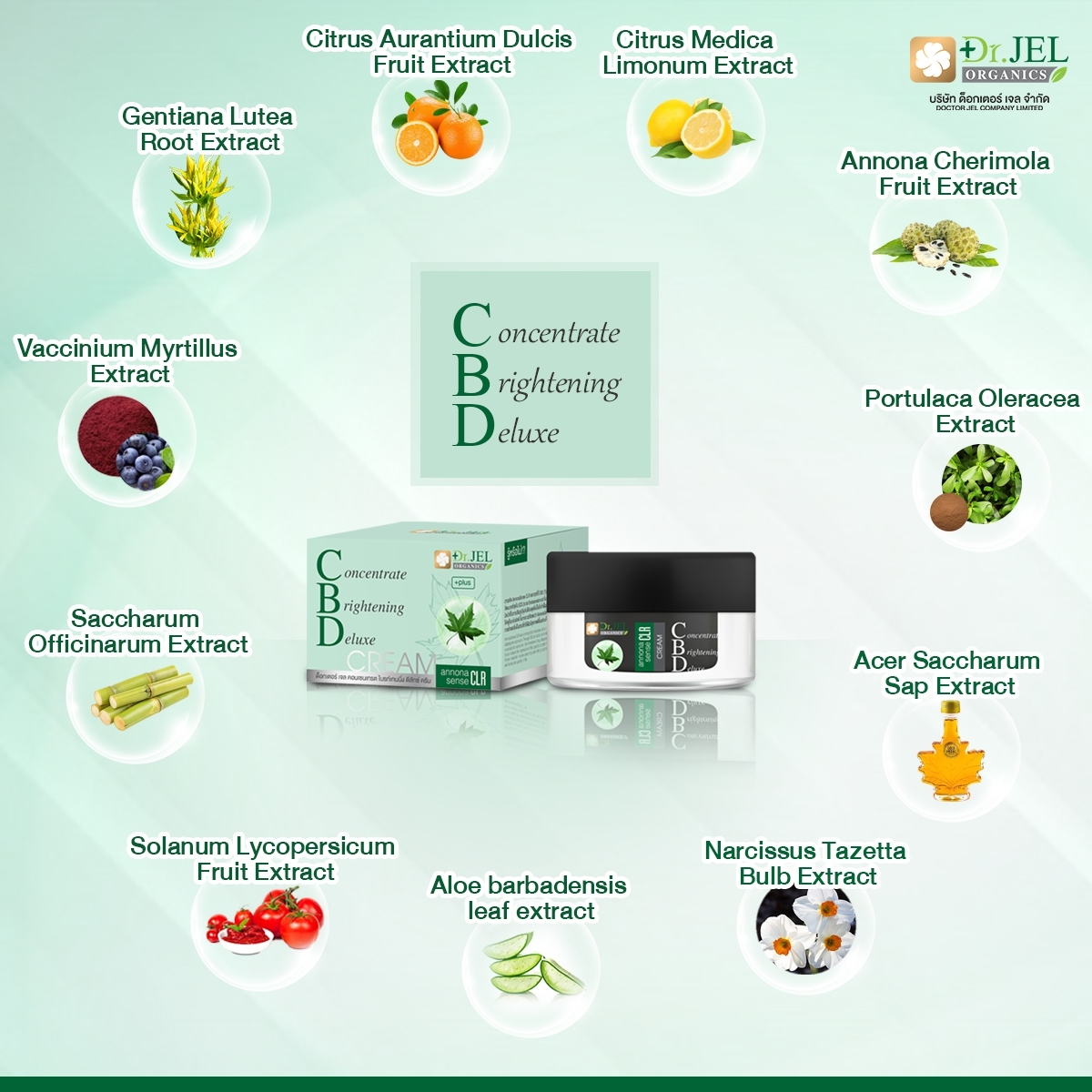 CBD cream Face cream Concentrate Brightening Anti aging, Wrinkle and oxidant Reduce acne Skin Care C