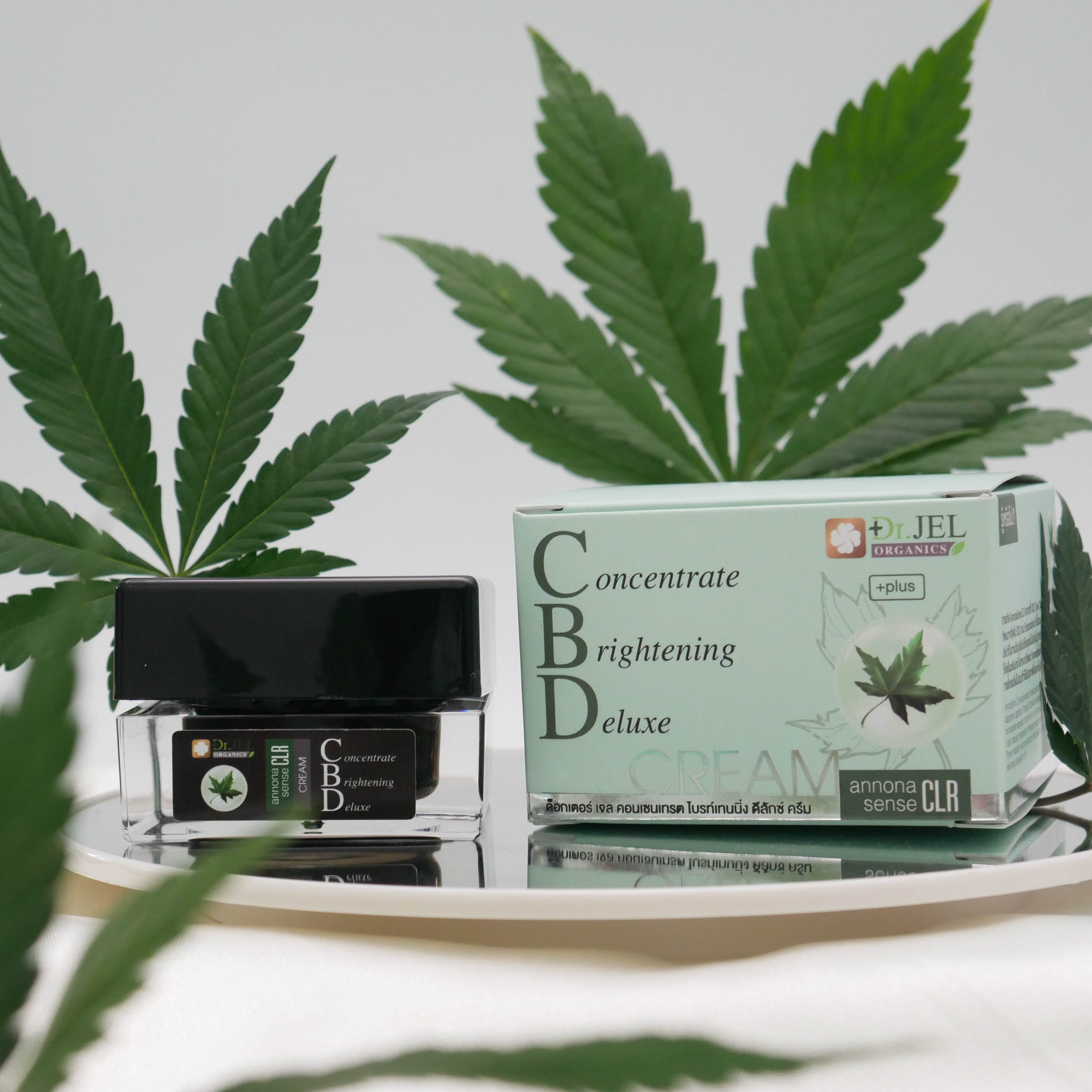 CBD cream Face cream Concentrate Brightening Anti aging, Wrinkle and oxidant Reduce acne Skin Care C