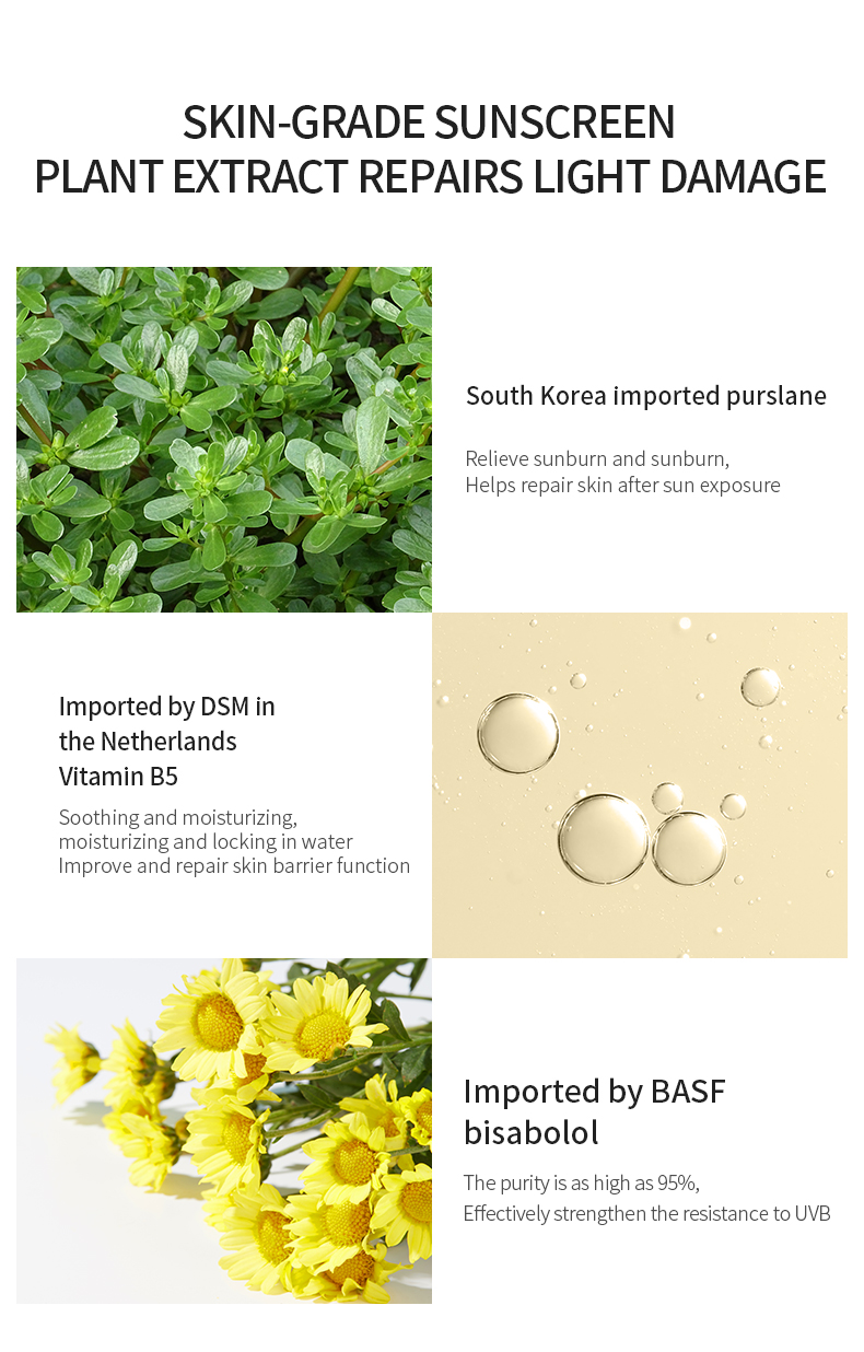 Private Label SPF50+/PA+++ SPF 50 Organic Sunblock