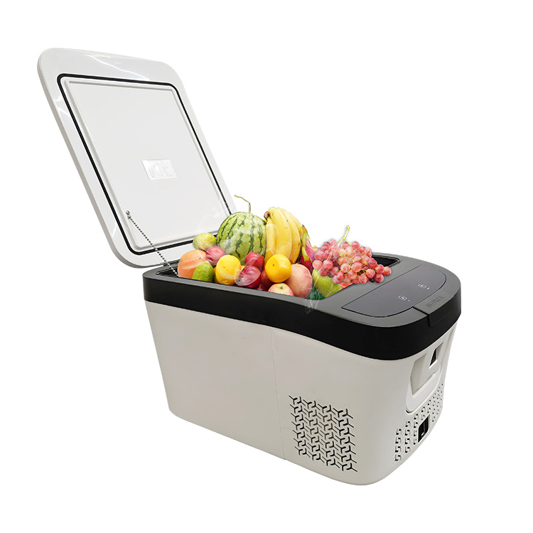 Home Appliance Refrigerator dual-used Home and Car fridge 24L compressor mini fridge camping refrige
