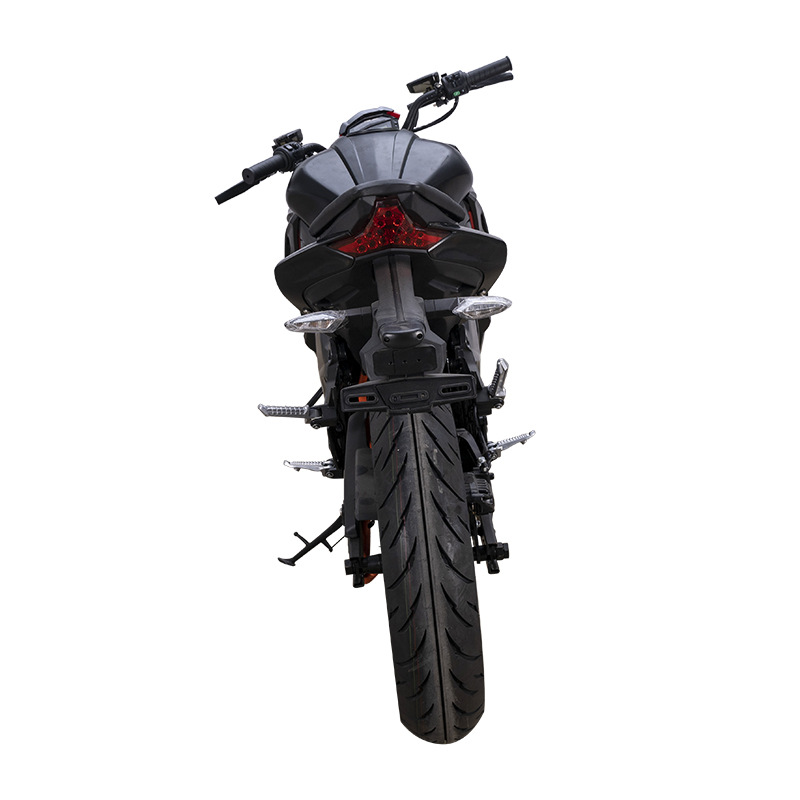 w Big Power Road Adults Outdoor Sport Mobility City Coco Eec Coc Electric Motorcycle