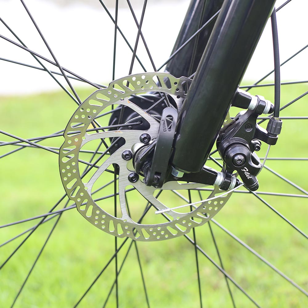 fat tire ebike 1000w 750w 500w 250w 350w motor 48v ebike 20*4.0 ebike step through aluminum alloy fr