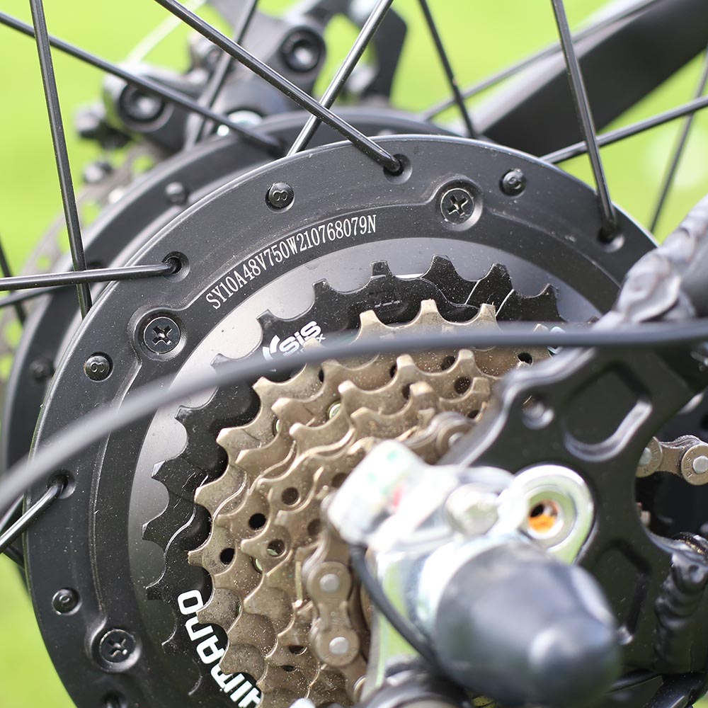 fat tire ebike 1000w 750w 500w 250w 350w motor 48v ebike 20*4.0 ebike step through aluminum alloy fr