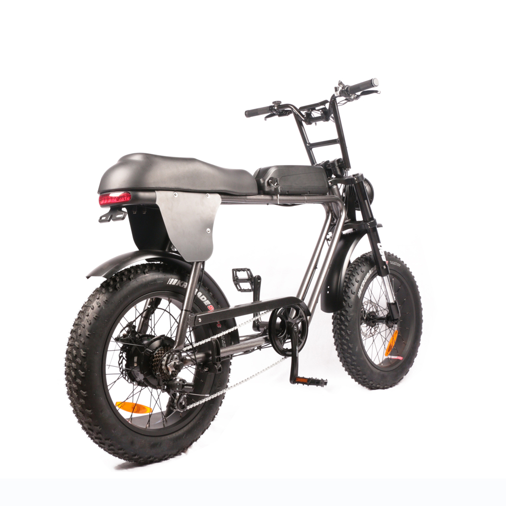20'' 1000W BIG POWER Fat Tire Beach Snow Electric 