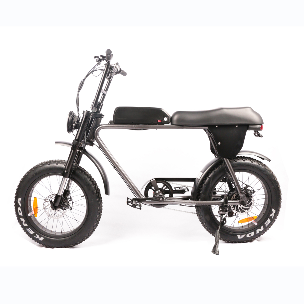 20'' 1000W BIG POWER Fat Tire Beach Snow Electric 