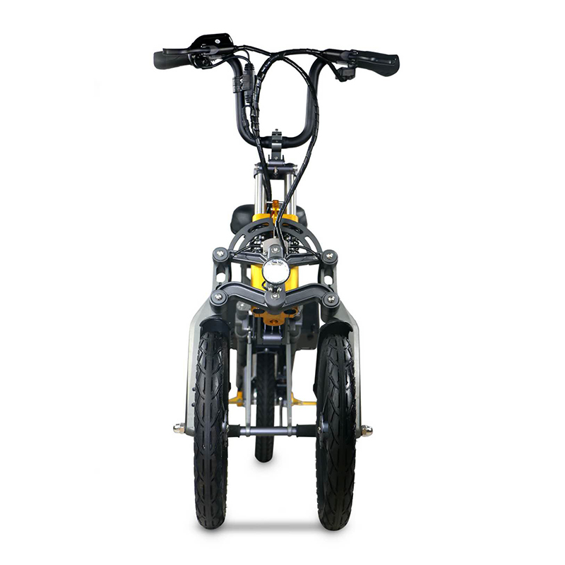 350W Big Power Fat Tire Folding 3 Wheel Electric B