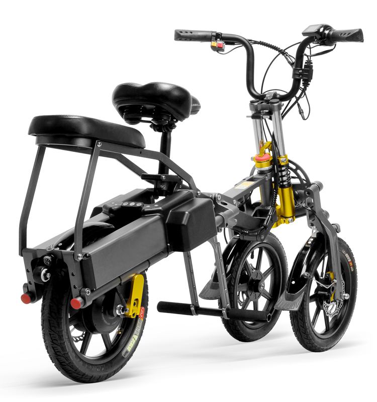 350W Big Power Fat Tire Folding 3 Wheel Electric B
