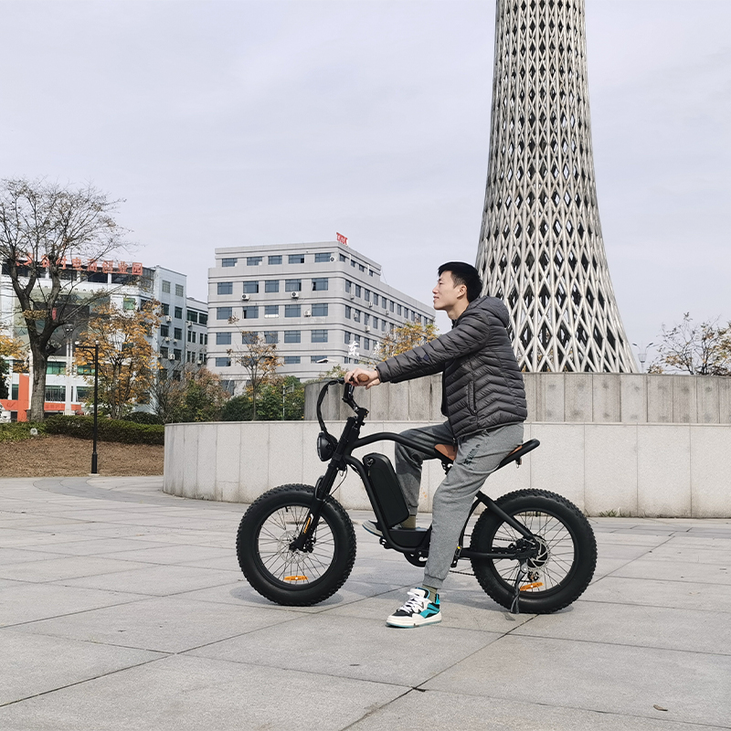 7-speed electric mountain bike frame 500 / 750W 48V fat tire electric bicycle other eBike outdoor sp