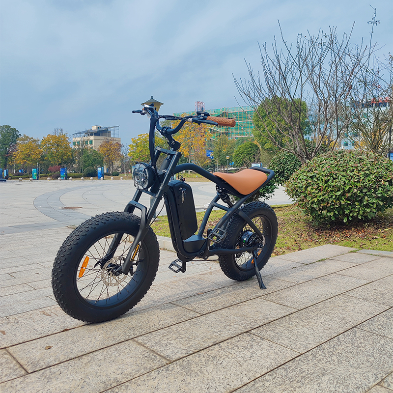 7-speed electric mountain bike frame 500 / 750W 48V fat tire electric bicycle other eBike outdoor sp
