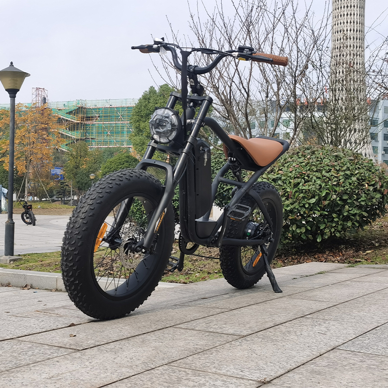 7-speed electric mountain bike frame 500 / 750W 48V fat tire electric bicycle other eBike outdoor sp