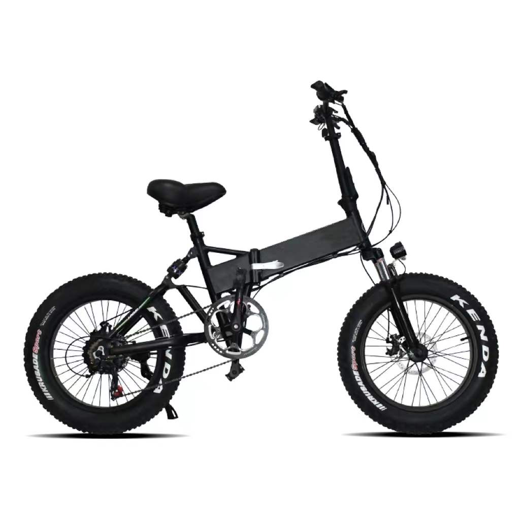 DISCOUNT OF 2021OEM factory High Power fat tire mo
