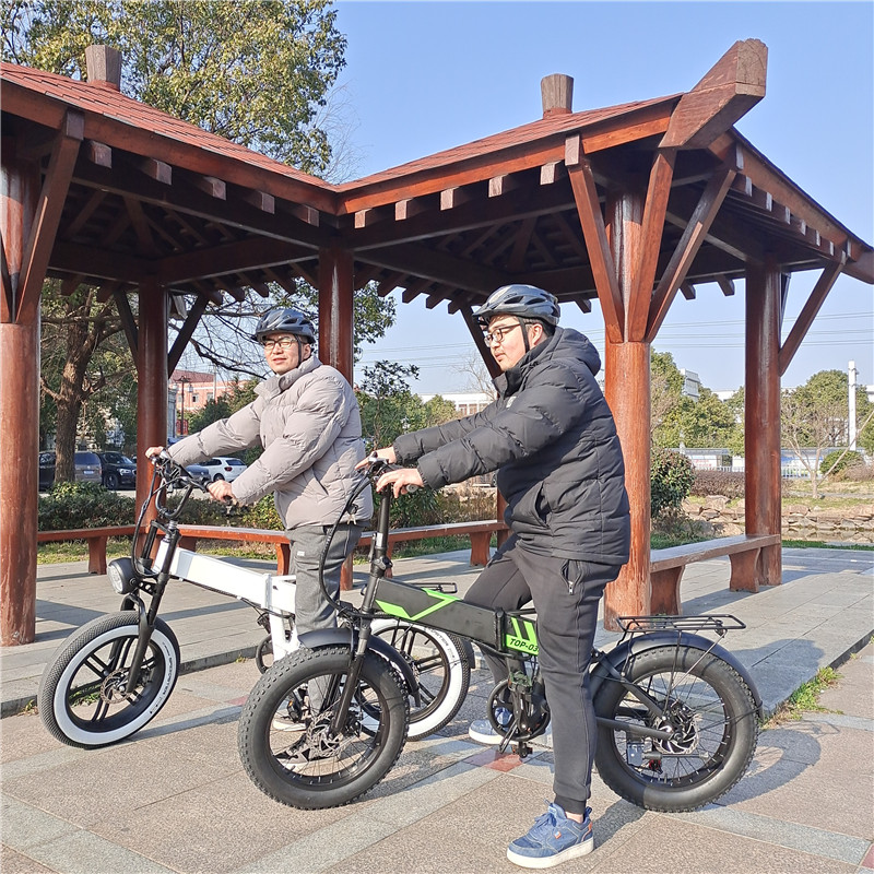 DISCOUNT OF 2021OEM factory High Power fat tire mo