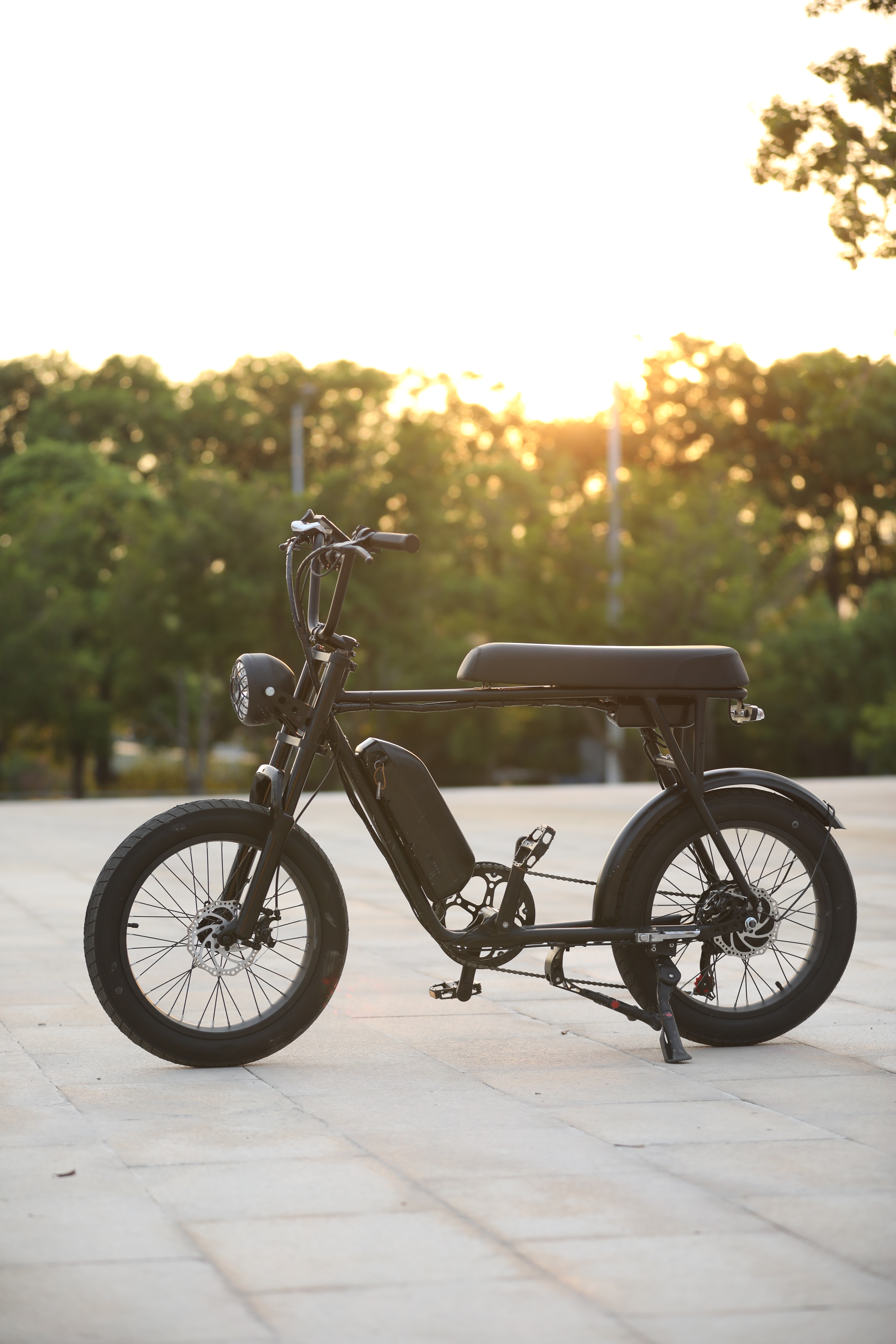 EU USA warehouse Drop shipping 750W 1000W Fat tire