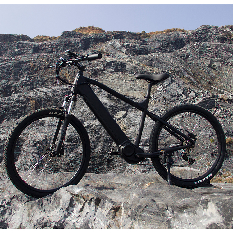 bicycle electric bike amazon hot selling 750w 1000