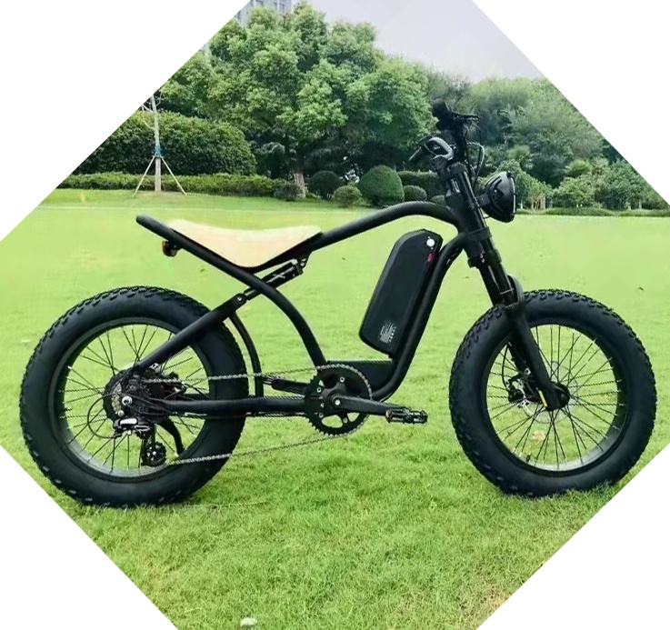 OUKA E 73 Fat Tire Ebike Green Super Power Pedelec