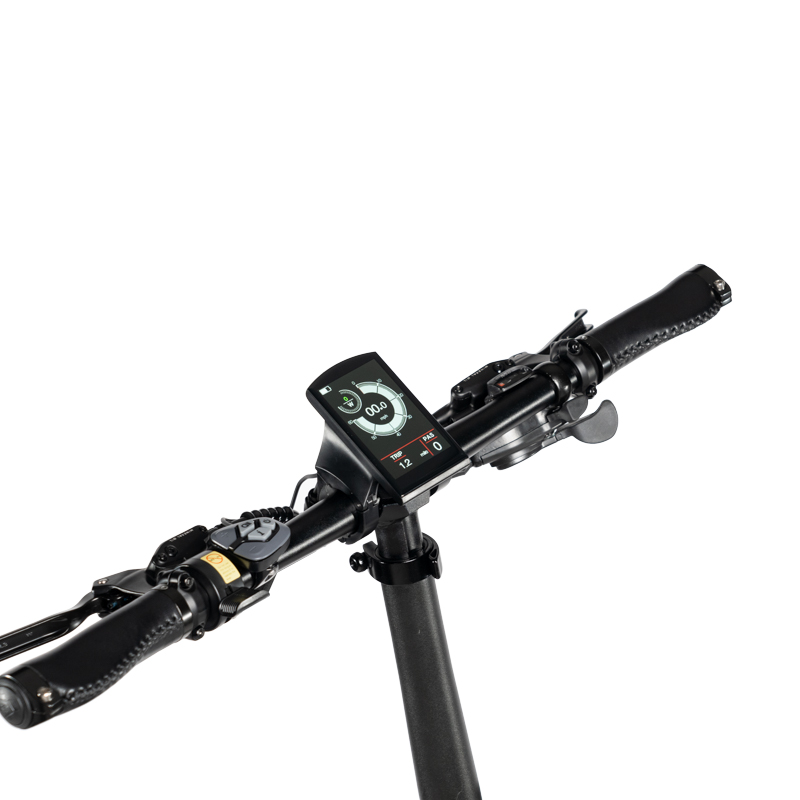 2022 Hot Sale Yamee Fat bear 750W Folding Ebike wi