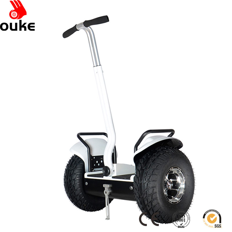 2021 new products 19 inch tyre 1000W off road snow