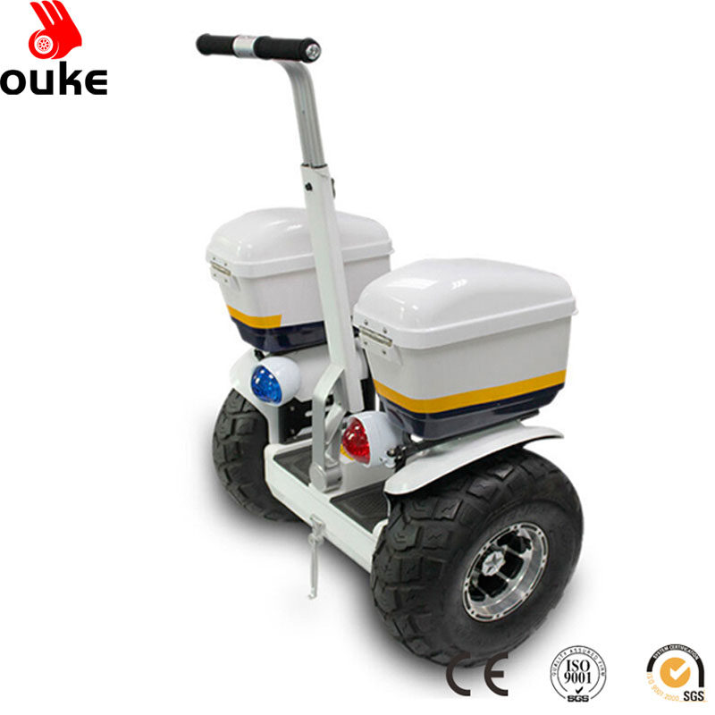 2021 new products 19 inch tyre 1000W off road snow