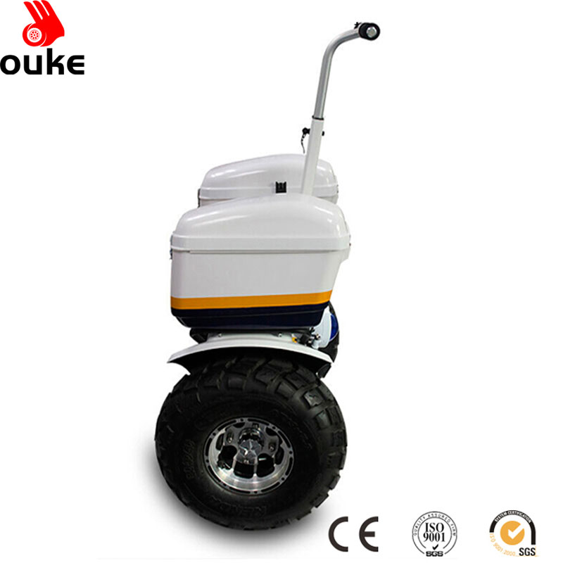 2021 new products 19 inch tyre 1000W off road snow