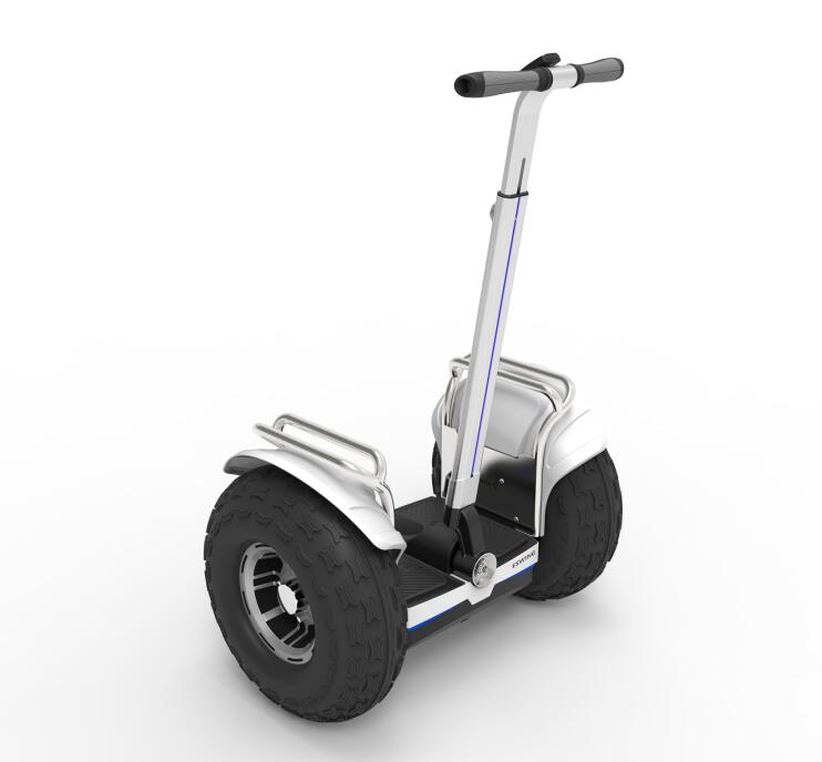 ESWING 2021 new products 19 inch tyre 3200W off ro