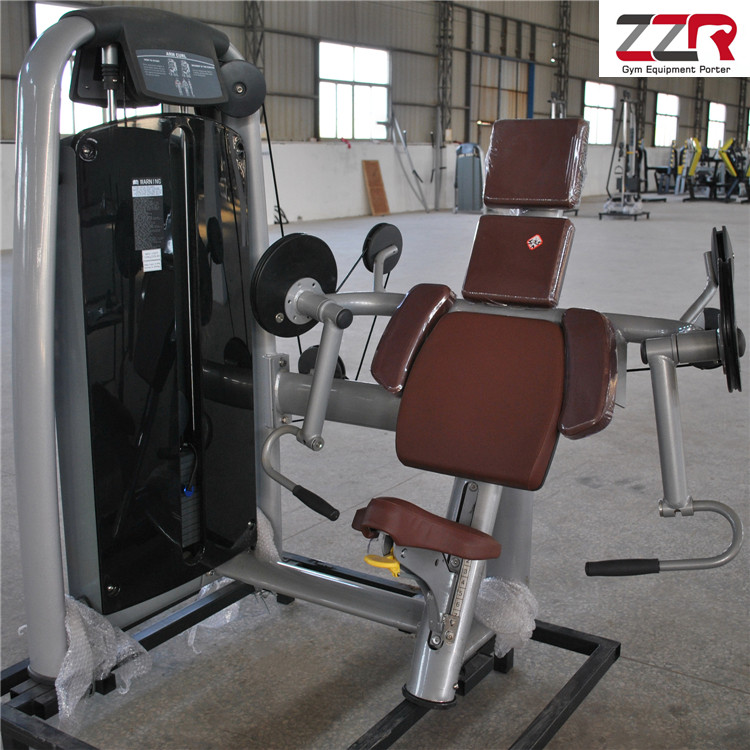 Best Price Gym Equipment Hot Sale Machine Matrix Series Arm Curl