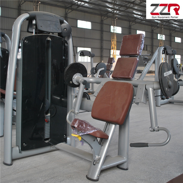 Best Price Gym Equipment Hot Sale Machine Matrix Series Arm Curl
