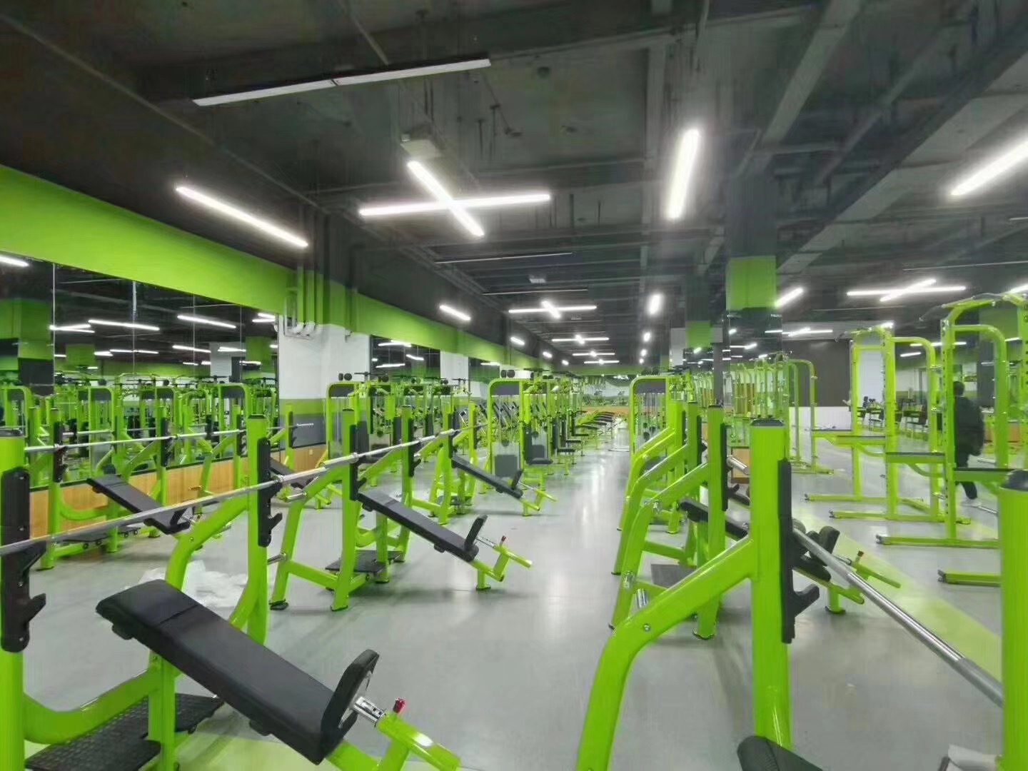 Hot Selling Commercial Exercise Sports Training Machine Gym Equipment Incline Bench