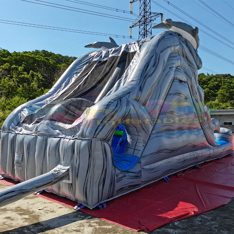 Outdoor Summer Games Backyard Large Size Bounce House Water Slide Dolphin Inflatable Water Slide Wit