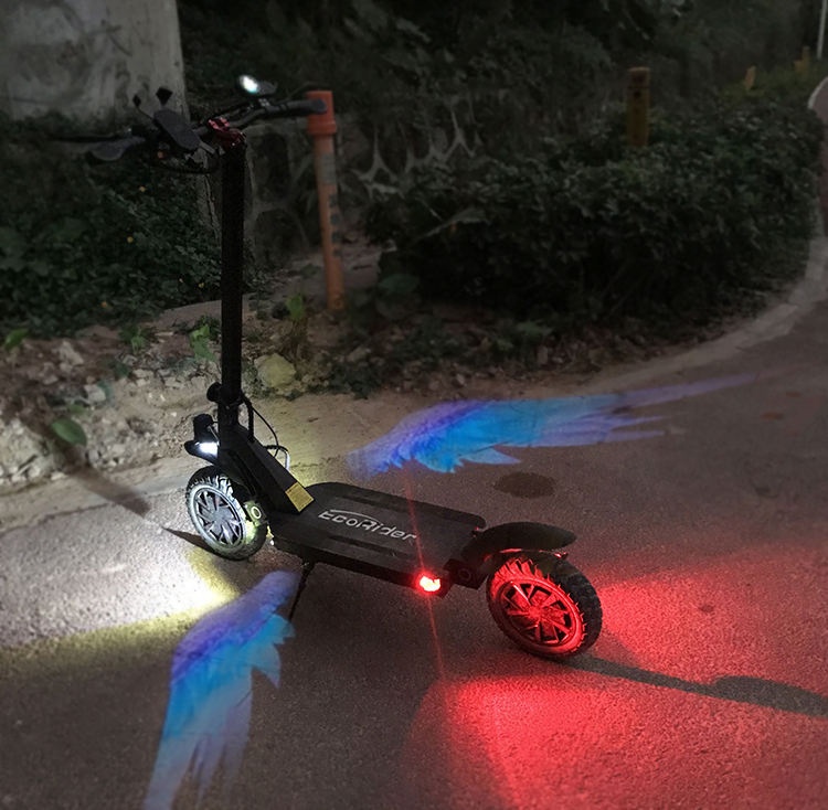 Victgoal OEM ODM factory travel 10inch 60v 20.8ah 3600w Big Power Dual Motor 20.8ah 1: 1 adult folda