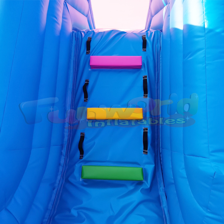 Inflatable frozen Bounce Jumping House Doctor Dolphin ICTI Jumping Castle Commerical Outdoor Inflata
